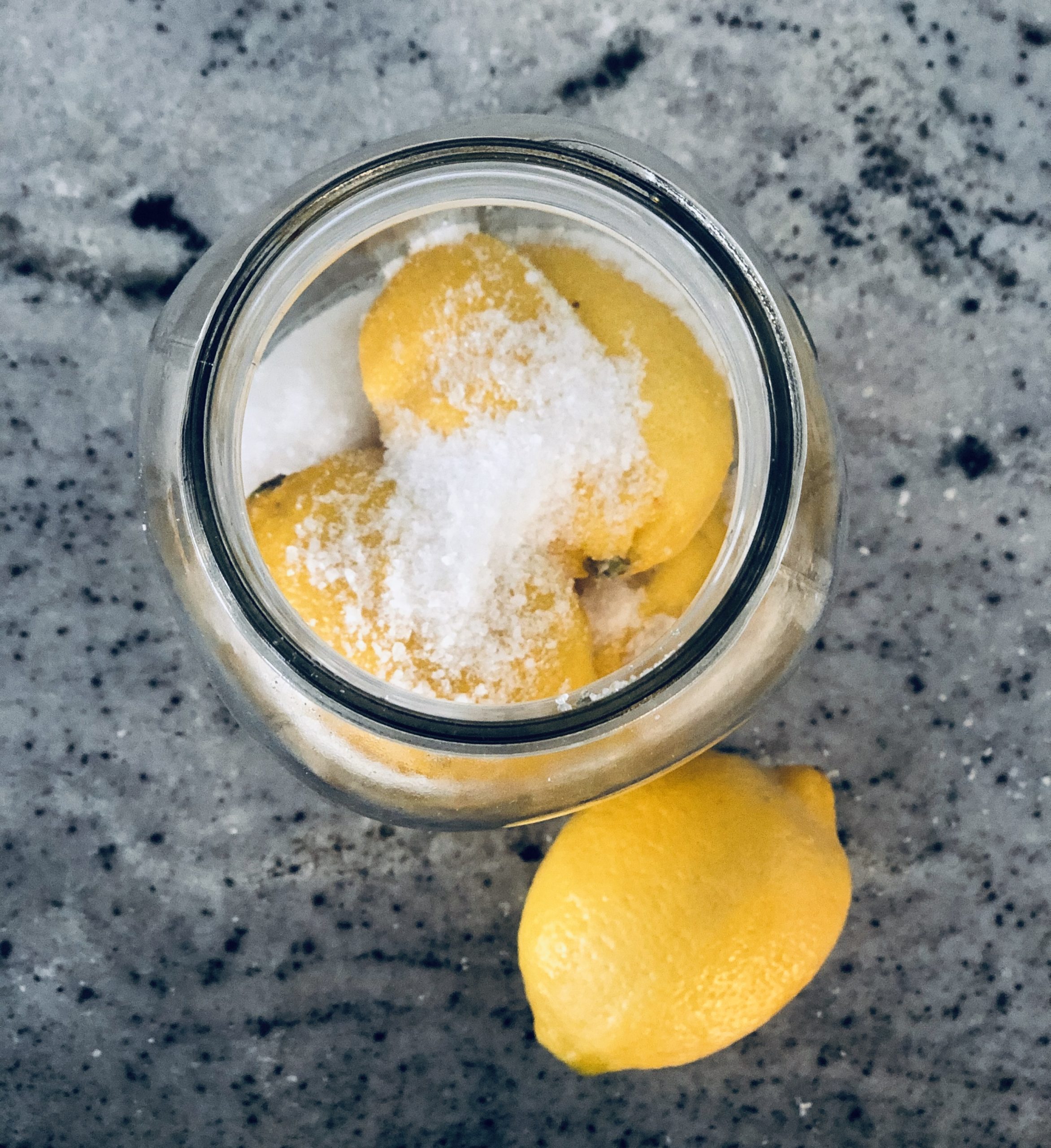 Preserved-Lemons_Overhead-Salt